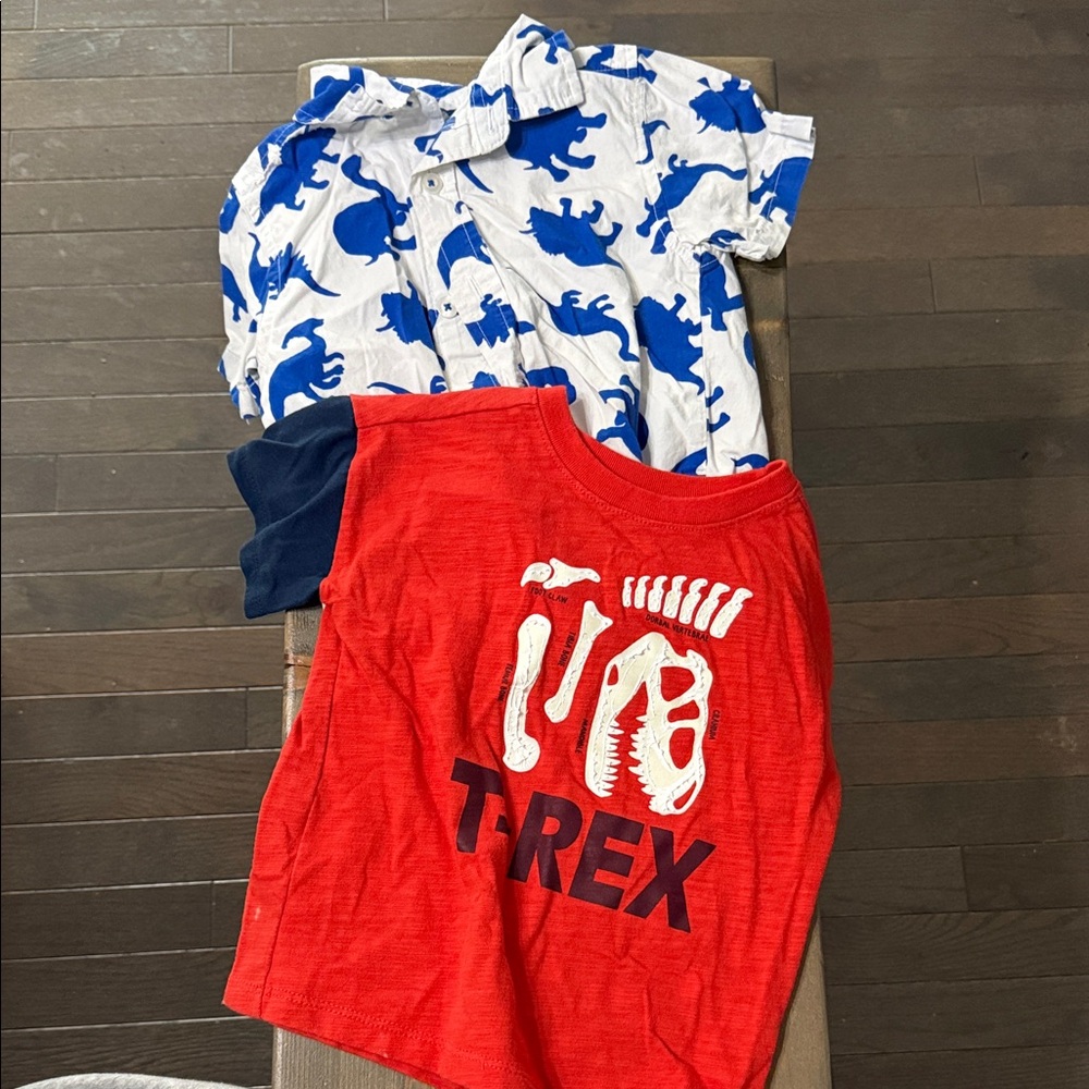 Dinosaur Print Shirt and T-Rex Tee Set
